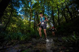 BIB: 
                            <button type="button" onclick="openModal(19239642)" class="btn btn-primary btn-sm float-right btn-popup" data-toggle="modal" data-target=".modal-high-quality">
                        <i class="fas fa-shopping-cart"></i> Add to Cart
                    </button>
                                            <button type="button" onclick="isThisMe(19239642, true)" class="btn btn-success btn-sm float-right btn-popup btn-isme hidden" data-toggle="tooltip" data-placement="bottom" title="นี่คือรูปของคุณใช่ไหม คลิกที่นี่เพื่อเอาเข้าอัลบั้ม">
                        <i class="fas fa-plus"></i> Add to album
                    </button>
                    <button type="button" onclick="isThisMe(19239642, false)" class="btn btn-warning btn-sm float-right btn-popup btn-isnotme hidden">
                        <i class="fas fa-ban"></i> Remove from album
                    </button>